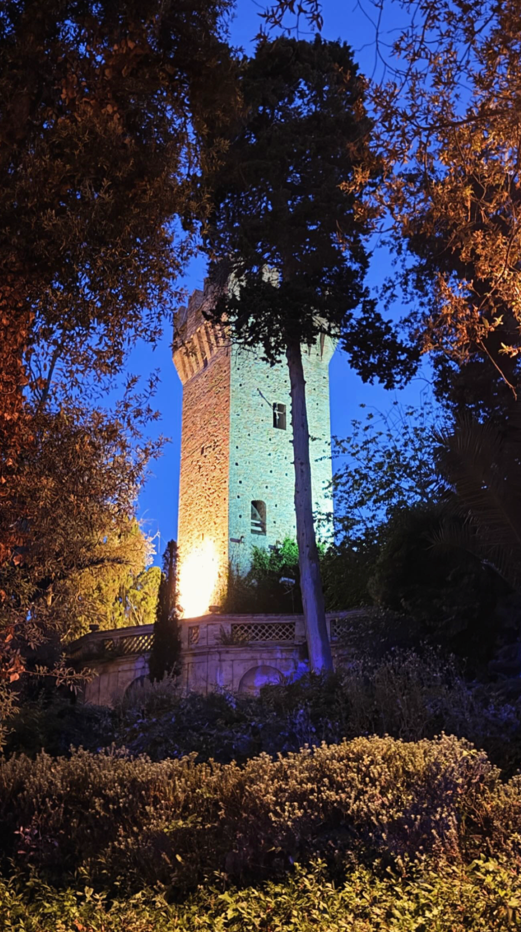 Torre illuminata di notte nel parco della Reggia